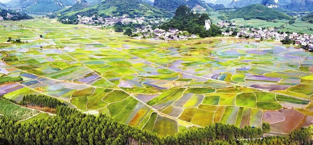 四川：发展县域经济发展梯队 实施百亿主导产业培育